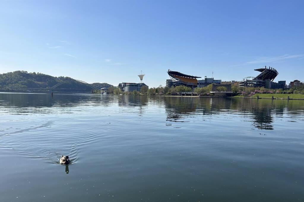 Sprawling Stadium Views Wonderful Location 24-7 Parking Gym Lounge Pittsburgh Kültér fotó